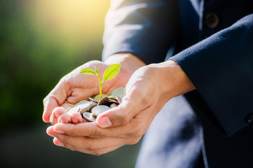 Business man holding little tree  growing on money,Money growing and saving with a man holding coin