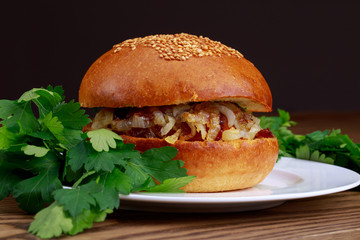 the homemade hamburger