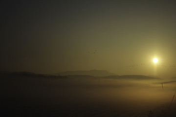 Sunrise on a misty field