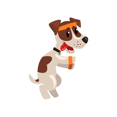 Cute jack russell terrier athlete character doing sports vector Illustration on a white background