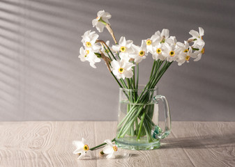 Still life with daffodils