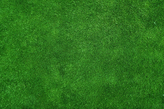 Top grass cheap