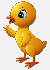 Cute cartoon little chicken isolated on a white background
