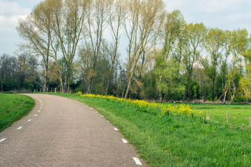 Fototapeta na wymiar Curved country road in a rural landscape