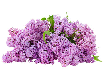 lilac flower on old wooden background