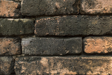 Close up Brick Wall Texture
