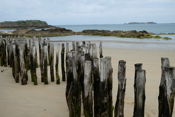 port wooden pillars in sand on the beach