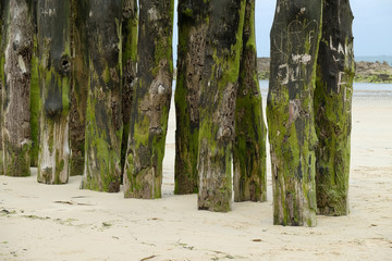 port wooden pillars in sand on the beach