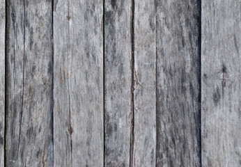  grey wood texture. background old panels