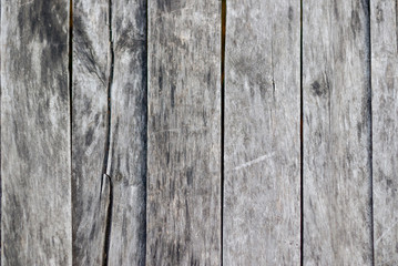  grey wood texture. background old panels