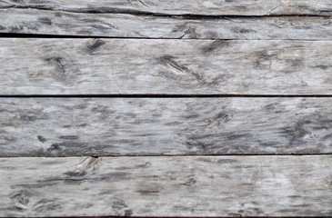 Fototapeta premium grey wood texture. background old panels