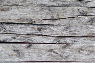 Obraz premium grey wood texture. background old panels