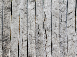 Fototapeta premium grey wood texture. background old panels