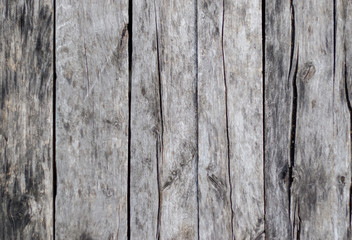  grey wood texture. background old panels