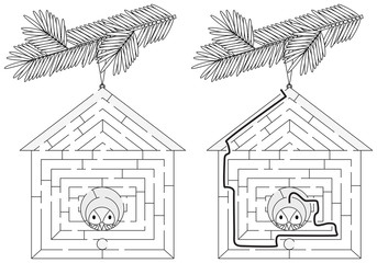 Easy bird house maze