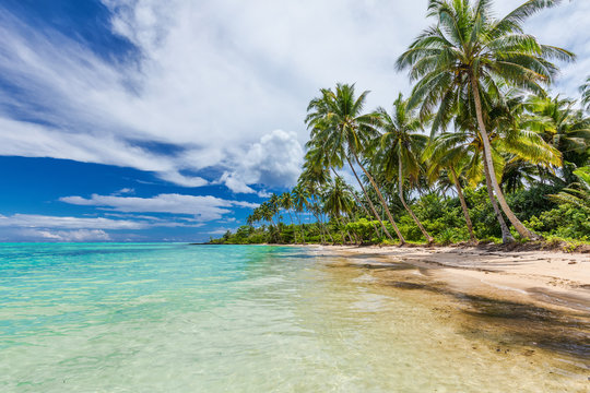 Wild beach with palm trees on south side of Upolu, Samoa Islands