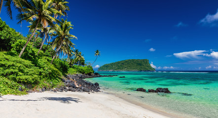 Vibrant tropical Lalomanu beach on Samoa Island with coconut palm trees and rocks