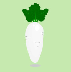 isolated cute white radish with green background,cartoon style,Vegetable vector.