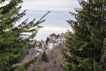 Fototapety na wymiar - Fototapeta24.pl