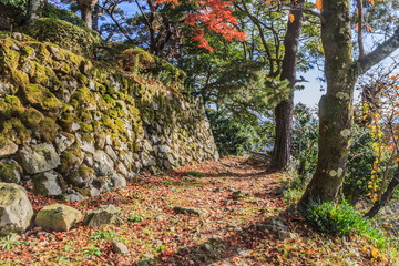 秋の丸岡城の風景