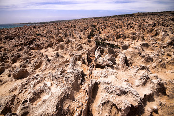 The wild nature of the Cape Greco peninsula, Cyprus