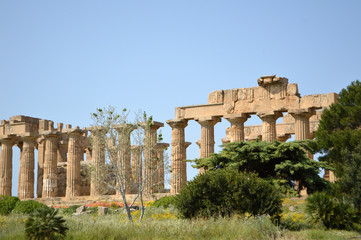 The Valley of the Temples of Agrigento - Italy 05