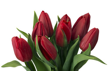 Bouquet of red tulips, copy space. Spring fresh flowers, mockup for mothers day, valentine or wedding greeting card