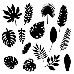 Palm leaves silhouettes set isolated on white background. Tropical leaf silhouette elements set isolated. Palm, fan palm, monstera, banana leaves Vector illustration in black and white colors EPS10