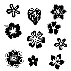 Tropical flowers silhouette elements set isolated on white background. Vector illustration in black and white colors EPS10