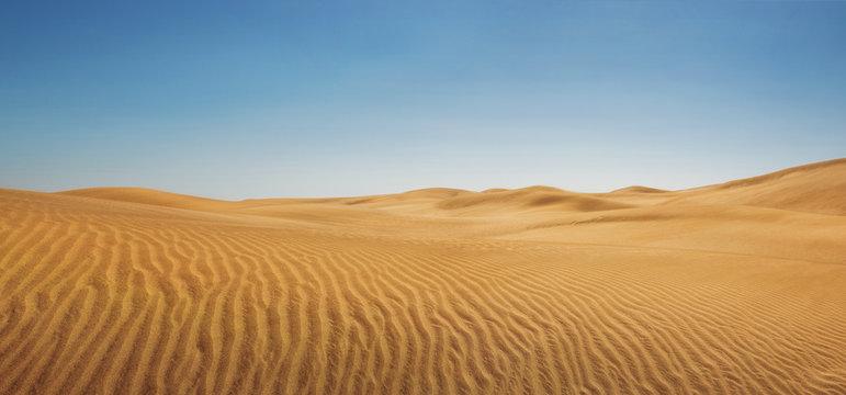 Dunes at empty desert, panoramic nature background with copy space