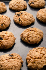 Oat cookies. Delicious homemade food. Healthy cooking concept.