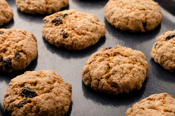 Oat cookies. Delicious homemade food. Healthy cooking concept.
