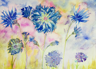 Corn flowers with buds. The dabbing technique near the edges gives a soft focus effect due to the altered surface roughness of the paper.