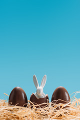 easter rabbit in chocolate eggs on straw isolated on blue