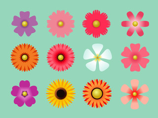 Colorful vector paper flowers set illustration