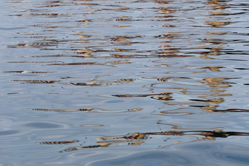 Sea surface background and have ripple wave.