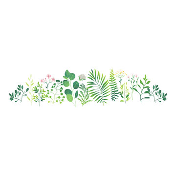 Vector cartoon abstract green plants flower herbs pattern. Meadow garden spring easter, women day romantic holiday, wedding invitation card decoration summer floral Illustration white background