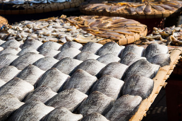 Dried Raw Salted Fish in a Tray, Row of Dried fishs Under The Sun