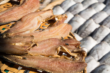 Dried Raw Salted Fish in a Tray, Row of Dried fishs Under The Sun
