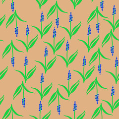 Seamless pattern, Mouse hyacinths . Hand drawn.