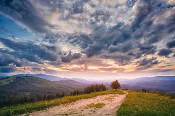 Mountain landscape. Hiking trail.