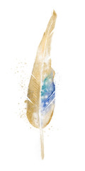 Beige blue feather, watercolor.