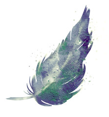 purple beautiful feather, watercolor