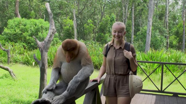 Female Tourist Posing for Photo with Proboscis MonkeyEndangered Endemic Borneo Animal