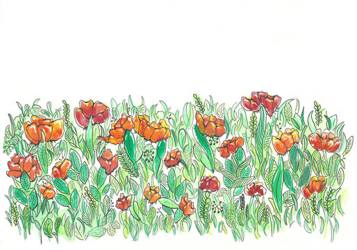 Sommerwiese