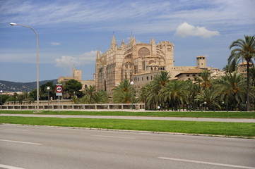 catedral mallorca