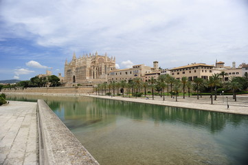 catedral de Mallorca