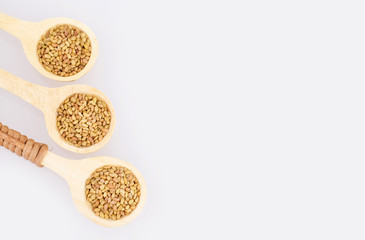 Seeds alfalfa - Medicago sativa