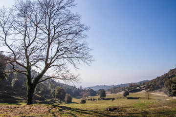 Obraz premium Landscape in Bellmunt, Catalonia, Spain