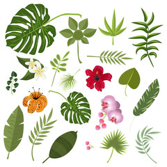 Tropical leaves and flowers.